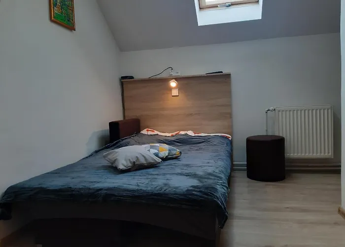 民宿 Monica Dwuosobowe Tylko Dla Doroslych 米耶伦科