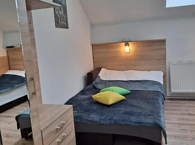 民宿 Monica Dwuosobowe Tylko Dla Doroslych 米耶伦科