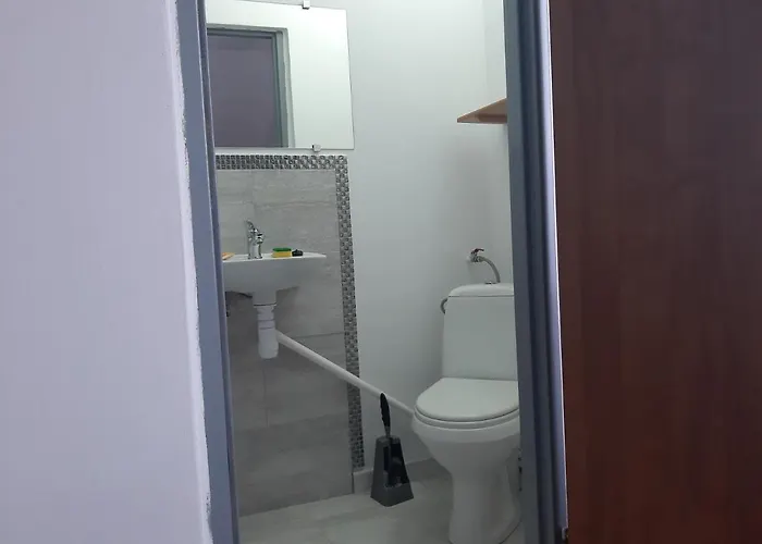 民宿 Monica Dwuosobowe Tylko Dla Doroslych 米耶伦科